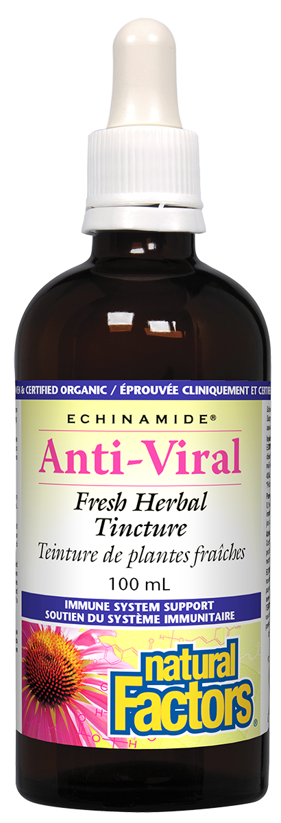 Natural Factors Echinamide Anti-Viral 100ML Tincture